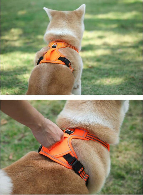 Dog Harness Adjustable Large & Medium Dog Stuff  