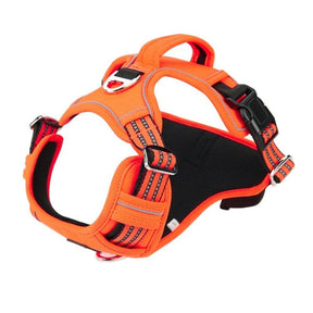 Orange harness on white showing reflective webbing and the padded back handle