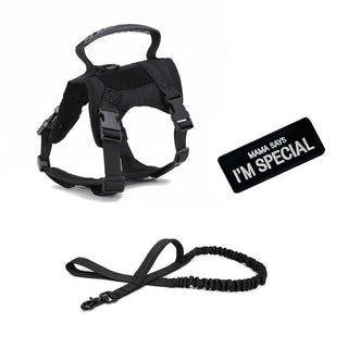 Dog Harness Leash Set for Small Dogs & Cats Dog Stuff  