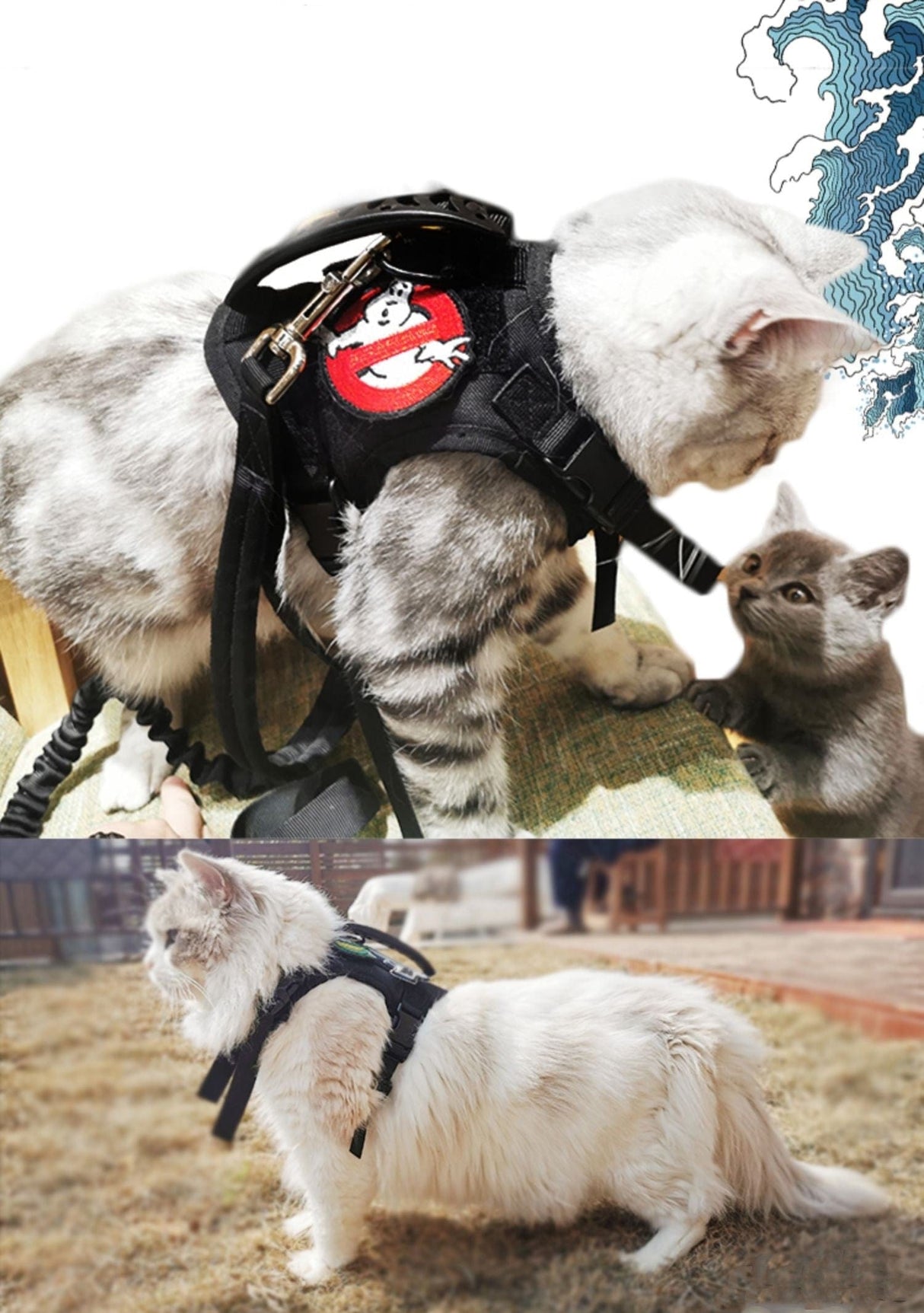 Dog Harness Leash Set for Small Dogs & Cats Dog Stuff  BushLine
