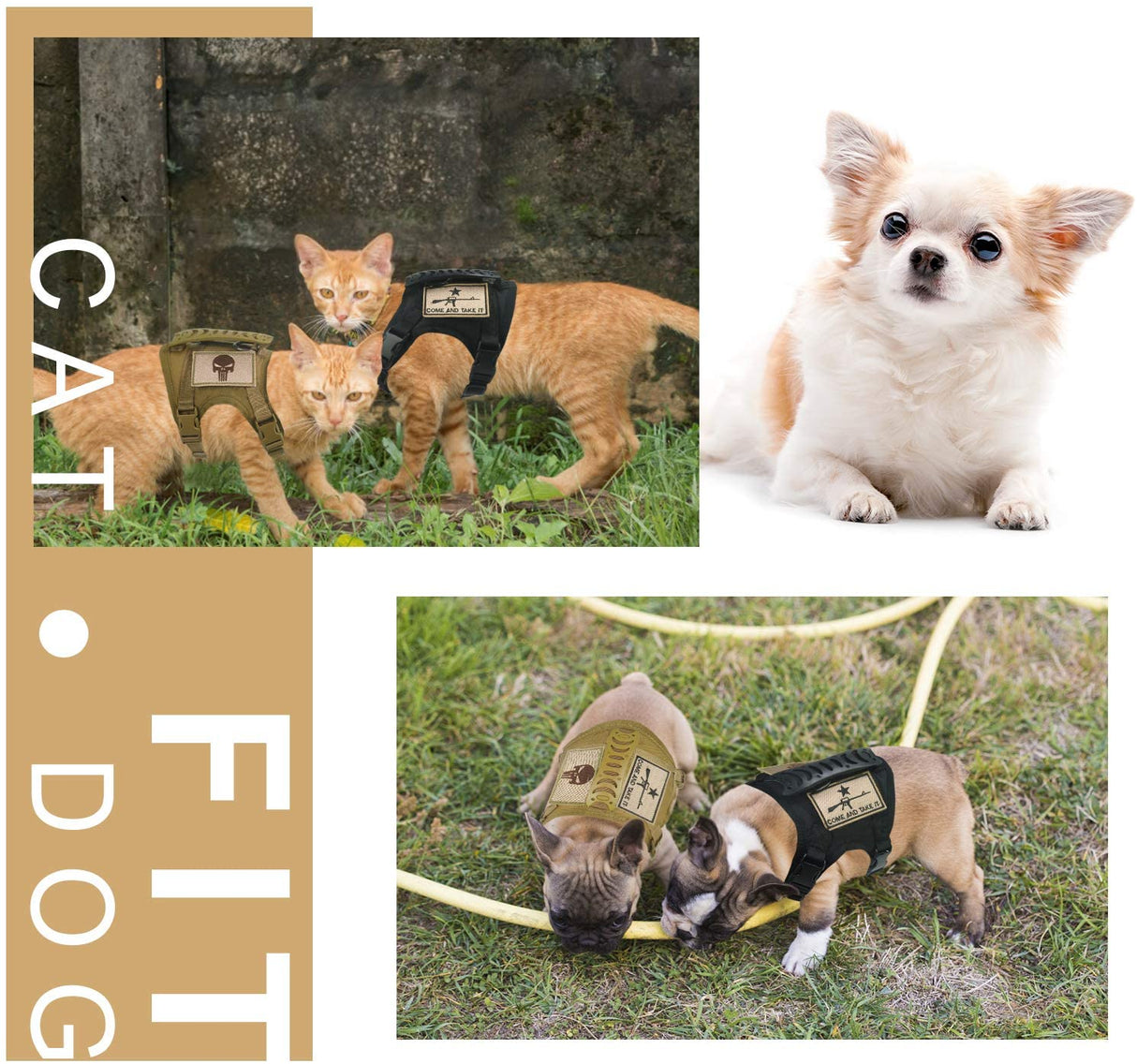 Dog Harness Leash Set for Small Dogs & Cats Dog Stuff  BushLine