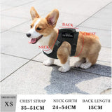 Dog Harness Leash Set for Small Dogs & Cats Dog Stuff  BushLine