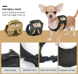 Dog Harness Leash Set for Small Dogs & Cats Dog Stuff  BushLine