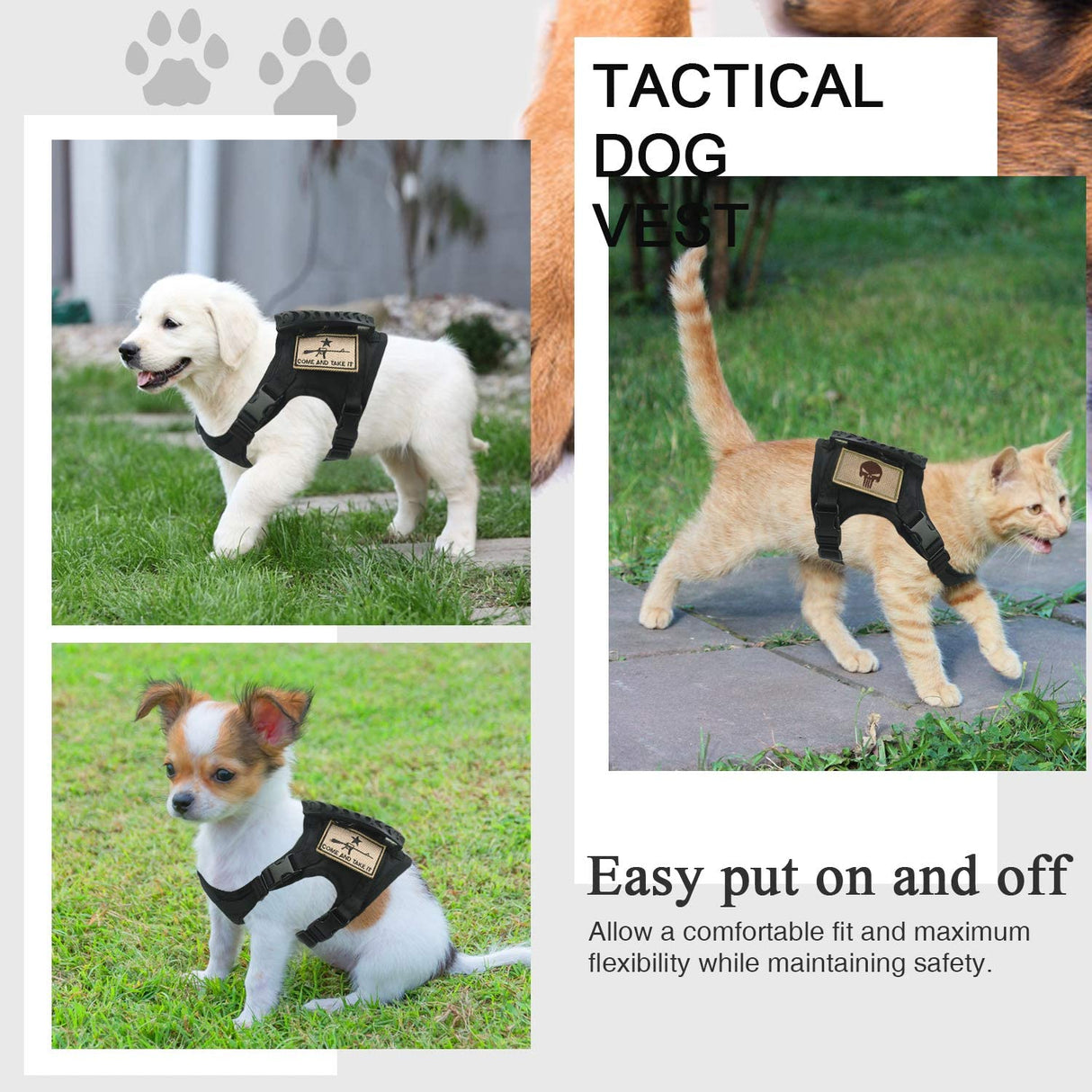 Dog Harness Leash Set for Small Dogs & Cats Dog Stuff  BushLine