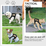 Dog Harness Leash Set for Small Dogs & Cats Dog Stuff  BushLine