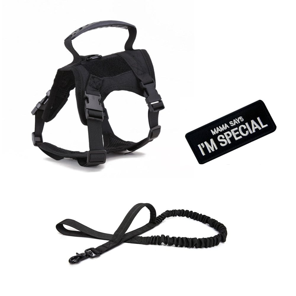 Dog Harness Leash Set for Small Dogs & Cats Dog Stuff BushLine Black with Leash