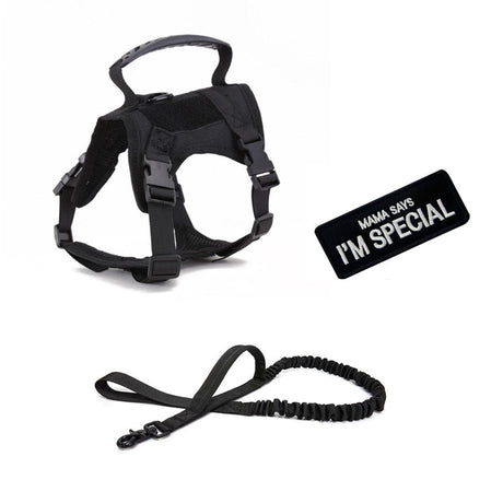 Dog Harness Leash Set for Small Dogs & Cats Dog Stuff BushLine Black with Leash