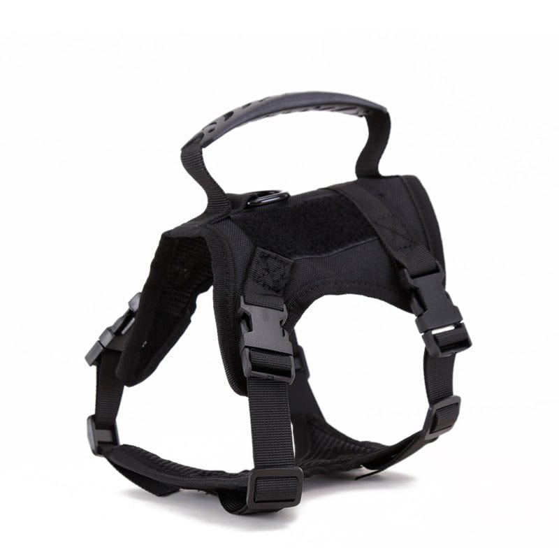 Dog Harness Leash Set for Small Dogs & Cats Dog Stuff  BushLine