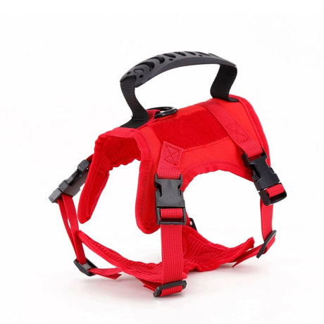Dog Harness Leash Set for Small Dogs & Cats Dog Stuff BushLine Red