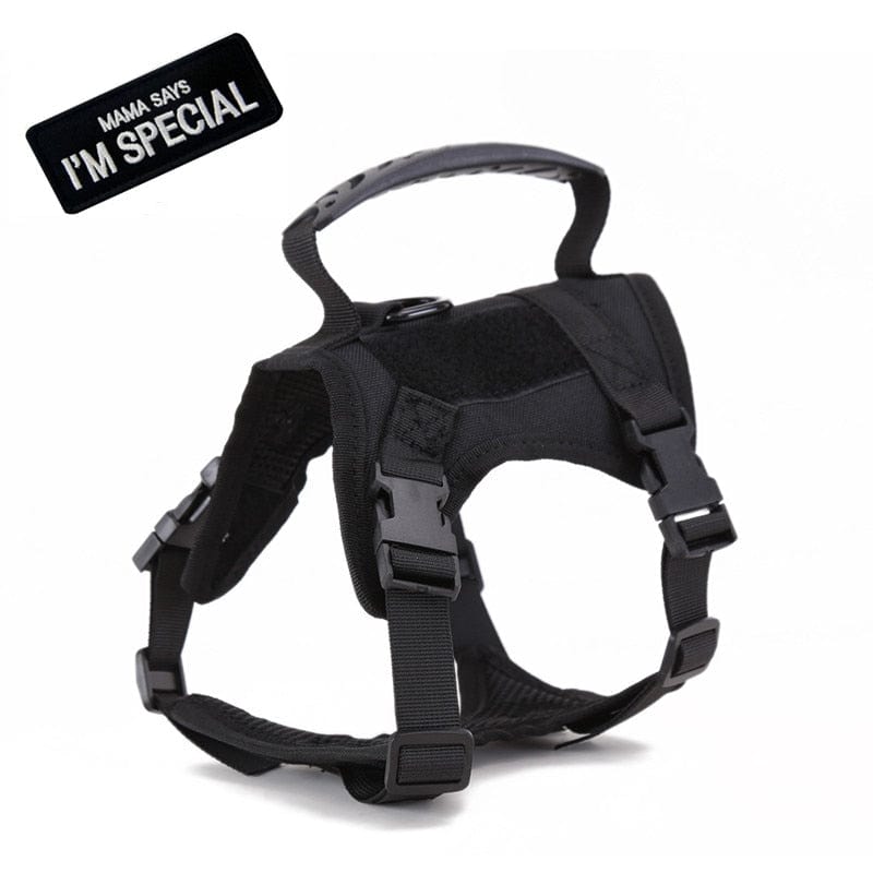 Dog Harness Leash Set for Small Dogs & Cats Dog Stuff BushLine Black