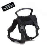 Dog Harness Leash Set for Small Dogs & Cats Dog Stuff BushLine Black