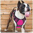Dog Vest Harness Leash Reflective Dog Stuff  BushLine