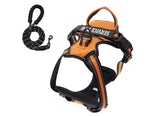 Dog Vest Harness Leash Reflective Dog Stuff  BushLine