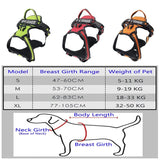 Dog Vest Harness Leash Reflective Dog Stuff  BushLine