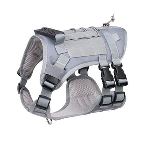 Grey harness studio view showing padded mesh lining and the chest D-ring