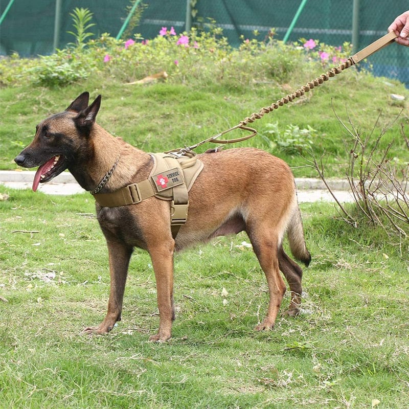 Dog Harness Vest With Handle & Lead Dog Stuff BushLine   