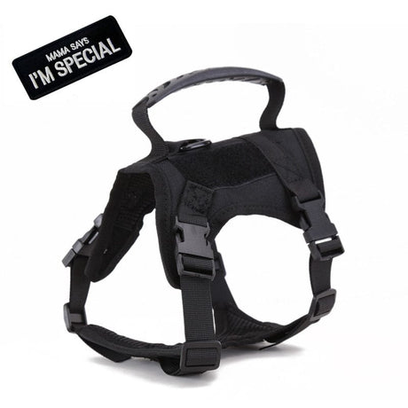 Dog Harness Leash Set for Small Dogs & Cats Dog Stuff BushLine Black