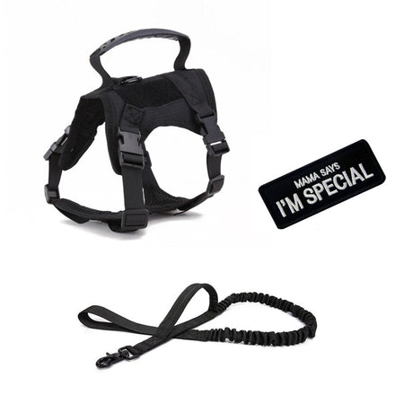 Dog Harness Leash Set for Small Dogs & Cats Dog Stuff BushLine Black with Leash  