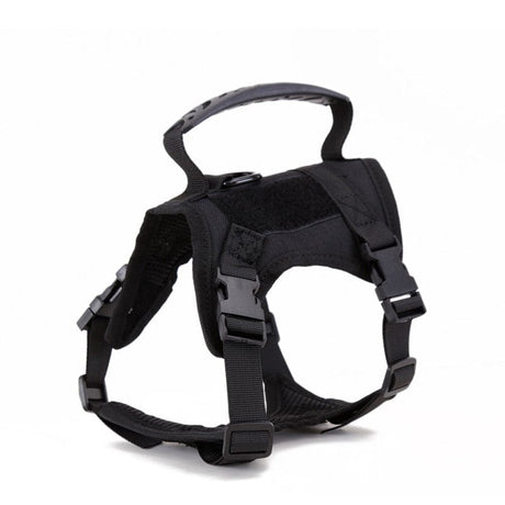 Puppy Cat Small Dog Training Vest Dog Stuff BushLine Black Harness XS 