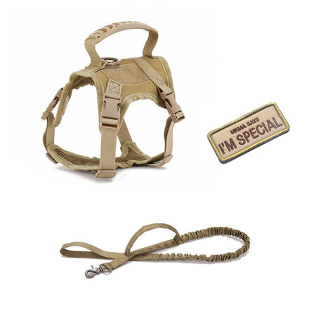 Dog Harness Leash Set for Small Dogs & Cats Dog Stuff BushLine Khaki with Leash  