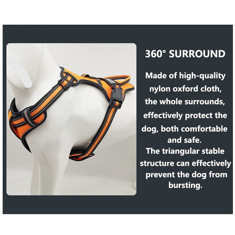 New Dog Vest Harness Leash Reflective 2023 Dog Stuff BushLine   