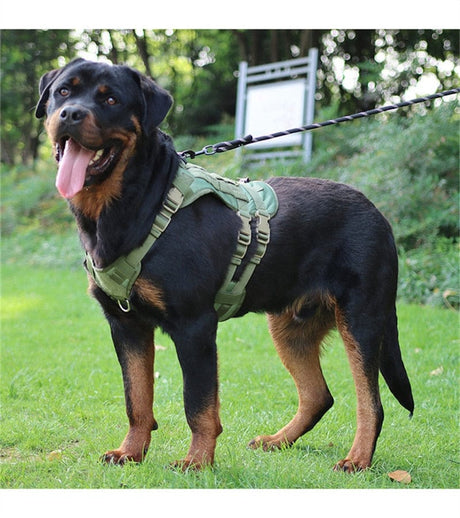 Harness Medium Large Dogs No Pull Quick Release Vest Dog Stuff BushLine   