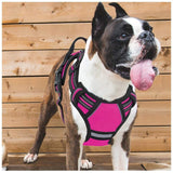 New Dog Vest Harness Leash Reflective 2023 Dog Stuff BushLine   