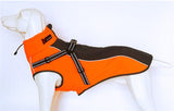 High Quality Winter Dog Coat Jacket With Harness Dog Stuff BushLine   