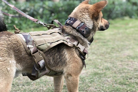 Tactical Dog Vests non pull Leads and Packs 2023 Dog Stuff BushLine   