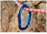 Blue carabiner threaded on a red and grey cord, stone in the background